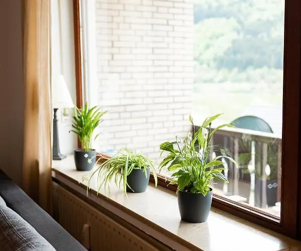 Apartamento Mit Seeblick — Sport Und Erholung Winterberg